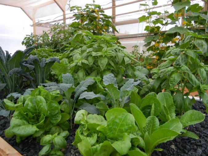 Portable Farms Model