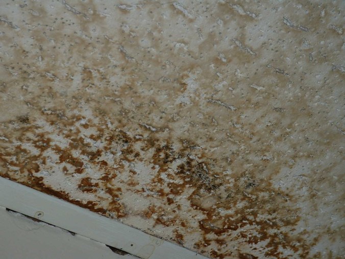 Ceiling mold 